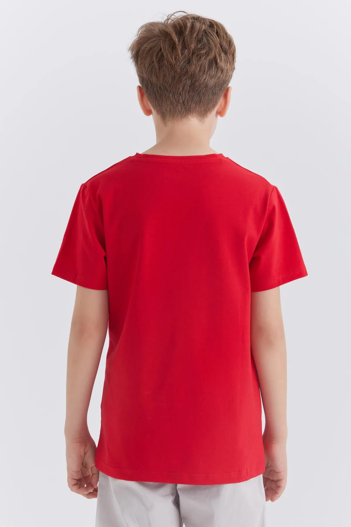dinazor baskili kisa kol standart kalip o yaka erkek çocuk t-shirt - 10865