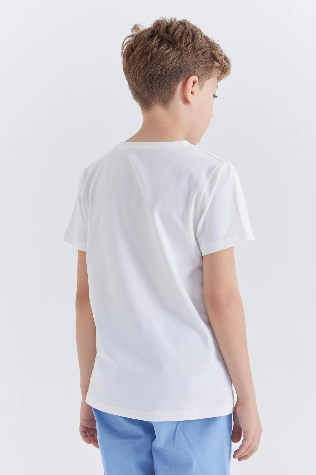 dinazor baskili kisa kol standart kalip o yaka erkek çocuk t-shirt - 10865
