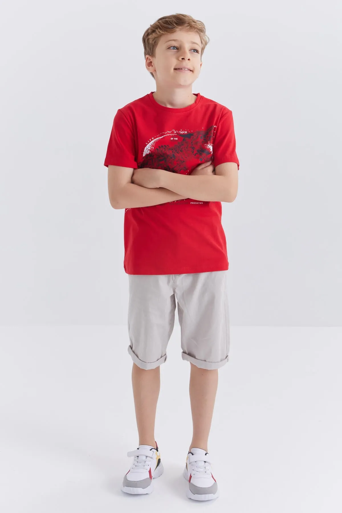 dinazor baskili kisa kol standart kalip o yaka erkek çocuk t-shirt - 10865