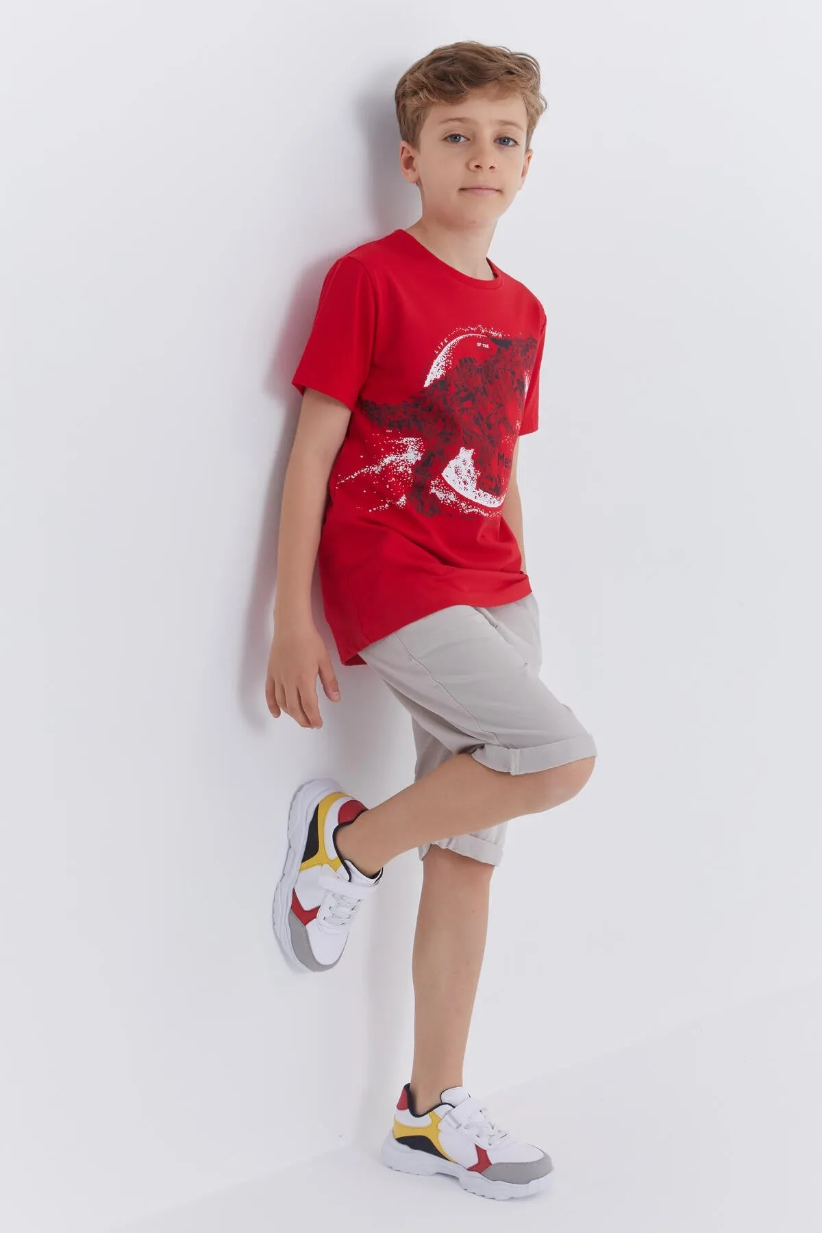 dinazor baskili kisa kol standart kalip o yaka erkek çocuk t-shirt - 10865