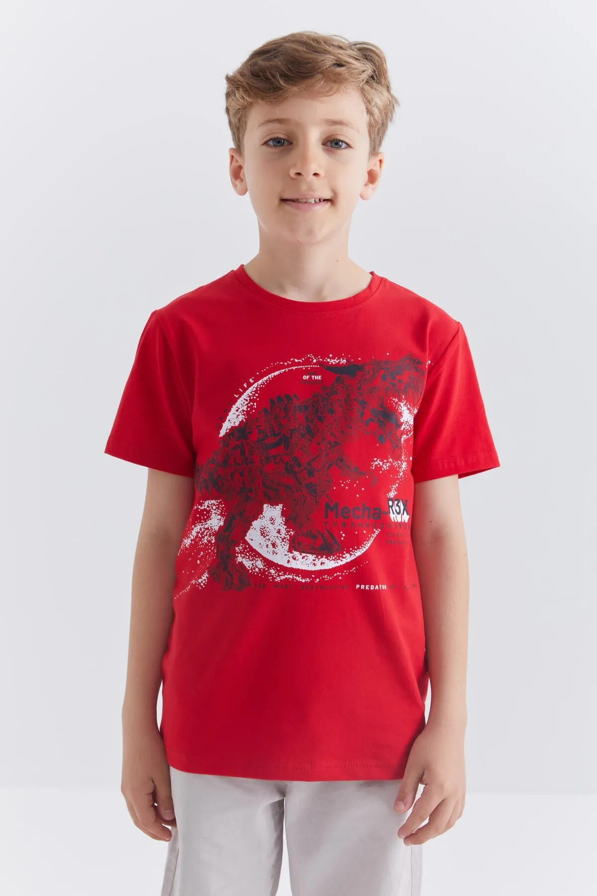 dinazor baskili kisa kol standart kalip o yaka erkek çocuk t-shirt - 10865